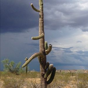 Meet your Posher, Yuki